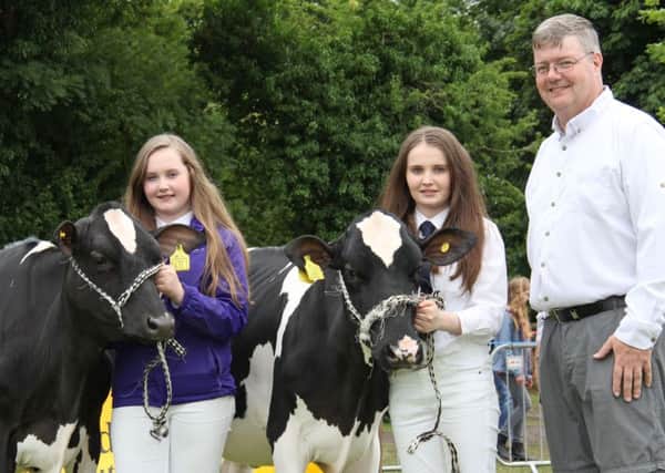 Exhibitor-bred championship sponsor Alan Armstrong, Western Farm Enterprises, discusses the forthcoming multi-breed dairy calf show with Holstein exhibitors Karen and Laura Gunn from the Ernevale Herd in Derrylin. Picture: Julie Hazelton