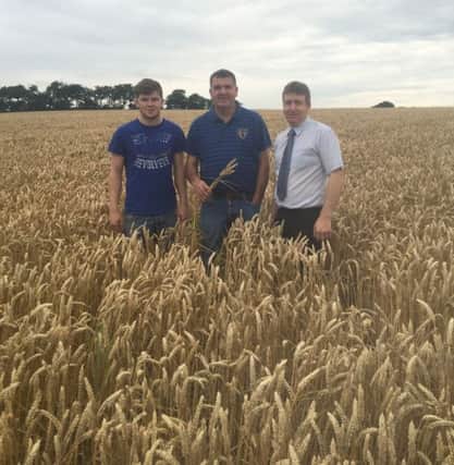 Pictured in the winning field of Winter Wheat are David McKeeman (Son), David McKeeman & Ian Gregg UFU Group Manager.