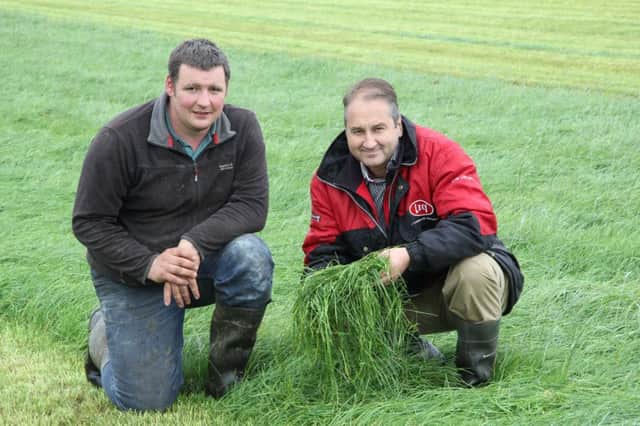 Aghadowey farmer Mark Cunningham discusses the cost-effective benefits of feeding fresh grass to his dairy herd with Jim Irwin, Lely Center Eglish.