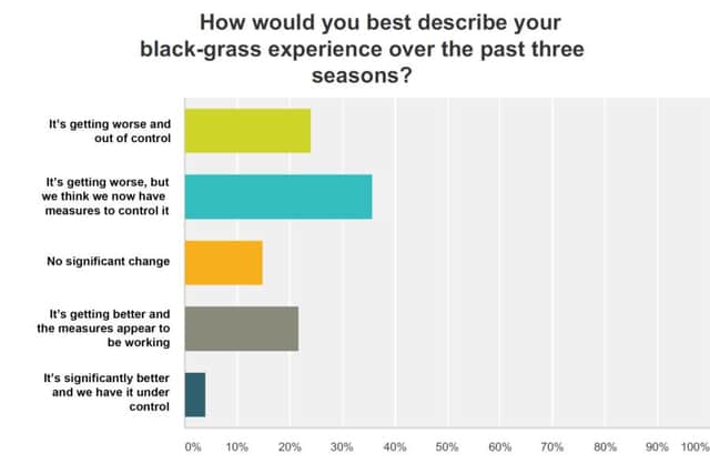 Syngenta black grass survey result: Black grass experience