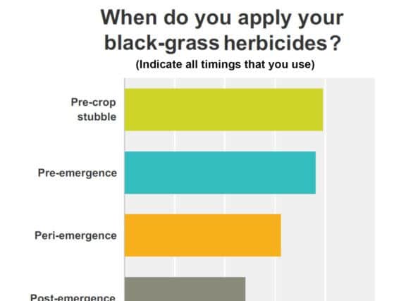 Syngenta black grass survey result: Herbicide timing