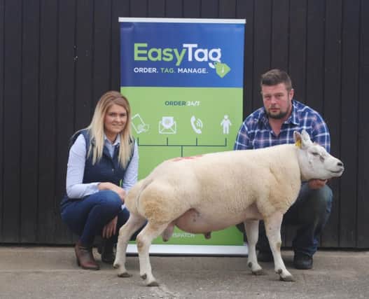 A total of 94 MV Accredited and Scrapie Monitored Pedigree Beltex Sheep will go under the hammer at the annual Beltex Summer Show and Sale which is being held at Dungannon Farmers Mart on Friday, August 26. Promoting the event are Lorraine Kirk from EasyTag, the Show and Sale sponsor and John Harbinson, Secretary of the Irish Beltex Sheep Breeders Club