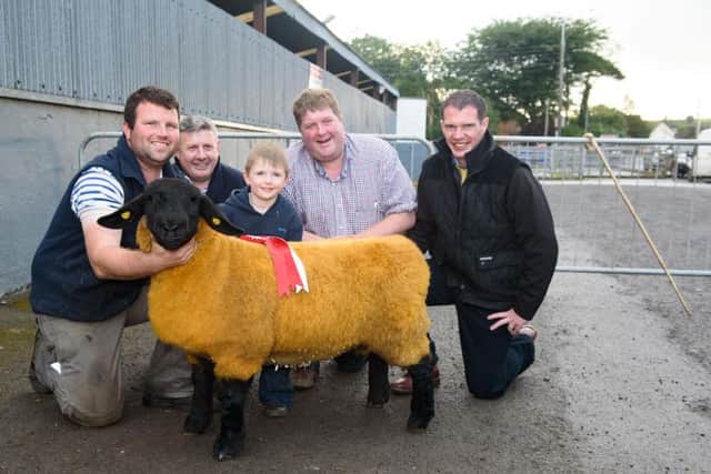 Alan and Jamie Kilpatrick from Convoy with the Champion Female  at the Donegal Pedigree Suffolk Breeder's Show and Sale at Raphoe Livestock Mart also included are Judge, Gerry Killilea, Boby Patterson Smyths Feeds, Sponsor and Autioneer, Robert Gourley. Photo Clive Wasson