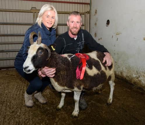 Rhonda and Lesley Parke with the champion Jacob Ewe at the Stranorlar and Ballybofey Mart Rare Breeds Show and Sale. Picture: Clive Wasson