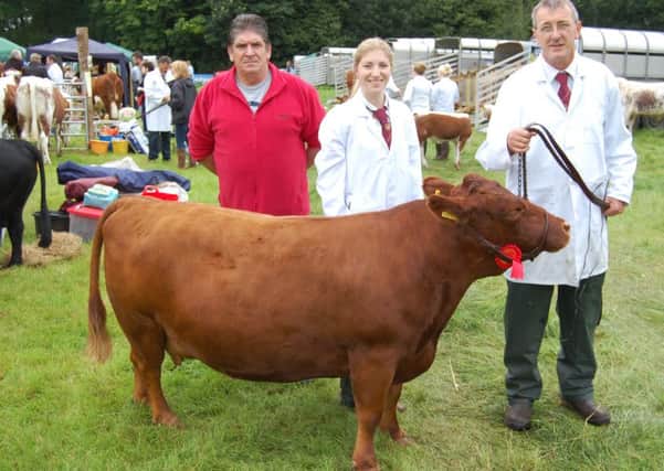 RBST Northern Ireland chairman Brian Hunter chatting to Rachel Lang and Bill Graham, from Templepatrick, about the Dexter clases planned for this years Rare Breeds show and sale in Gosford Park on Saturday September 3rd.