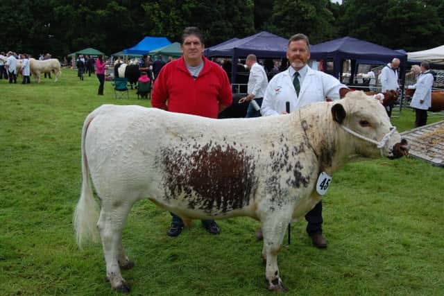 RBST Northern Ireland chairman Brian Hunter with Irish Moiled breeder Robert Boyle and his bull Beechmount Spectre. The animal has been entered for the Rare Breeds show and sale in Gosford Park on Saturday September 3rd.