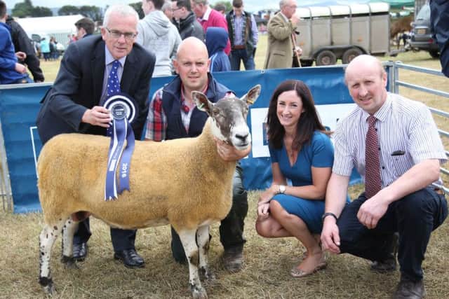 James Adams saw success again in the prestigious NISA / Danske Bank Sheep Championship line-up when his Greyface ewe took Fourth place and he is pictured receiving the award from John Henning and Debbie Reid, Danske Bank watched by Robert Dick, NISA