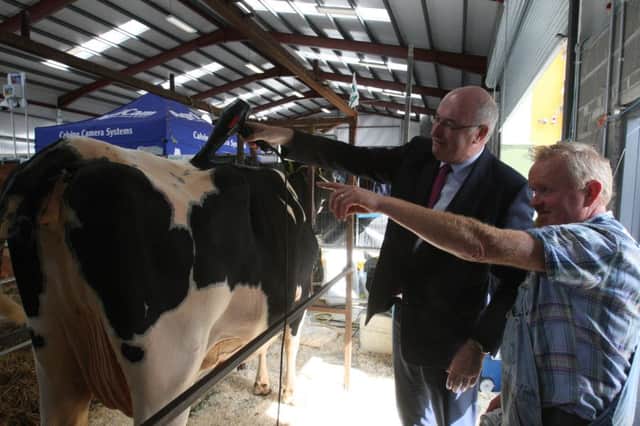 EU Commissioner for Agriculture & Rural Development Phil Hogan puts some final touches to David Boyd's cow entered in the Diageo Baileys Champion Cow Competition with Denis O'Neill, cow handler from Saintfield, Co Down