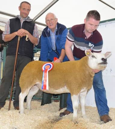 Ian Millar Millcomb Texels Ballyclare with the Fane Valley Champion Shearling Ewe at the NI Texel Breeders Club Balmoral Maze Show and Sale.  Also pictured are Judge Malachy McMeel, Monaghan and purchaser Martin Mullan Bluegate Texels Limavady
