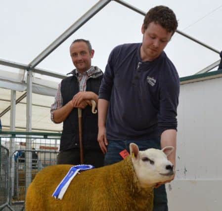 Judge Malachy McMeel presents Andrew Fyffe Fairywater Texels Omagh with the Fane Valley Reserve Champion Rosette at the NI Texel Club Show and Sale at Balmoral Maze.