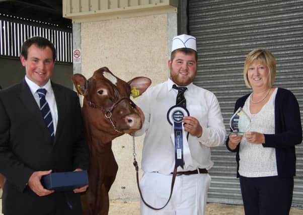 Maureen Currie, Danske Bank, presents the Shorthorn championship at the 14th annual multi-breed dairy calf show to John McLean, Bushmills, who exhibited Bushmills Prophets Petal. Included is judge David Christophers from Cornwall. Picture: Julie Hazelton