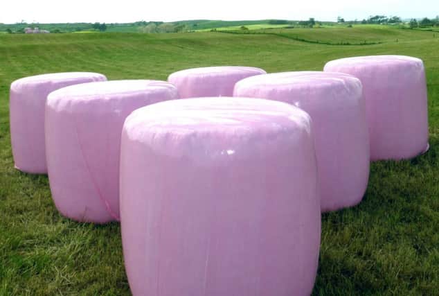 Pink film on silage bales raised Â£18,500 for breast cancer research in 2016!