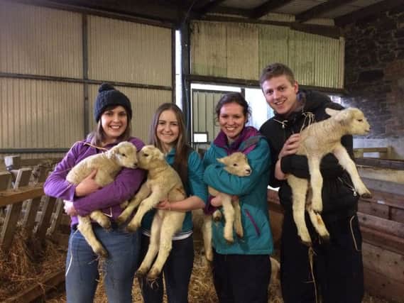 Rebecca Evans, Victoria Livingstone, Alice Quinn and Mark Riddell, third year medical students, out on farm gaining work experience.