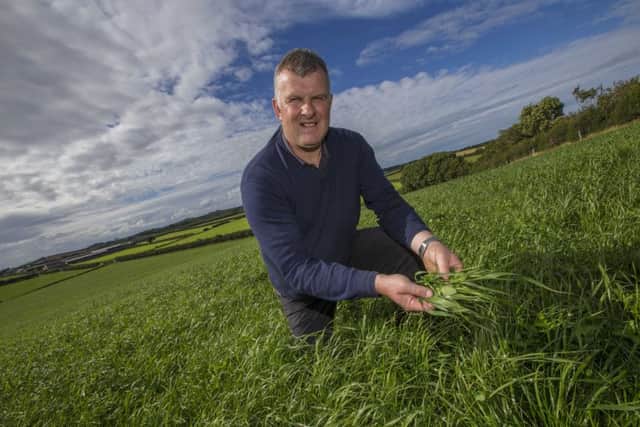 Beef and sheep farmer Sam Chesney recently welcomed a group of around 100 animal scientists to his Kircubbin farm, where he shared information about his low cost, grass-based system. Pictured is Sam in a field reseeded in spring with Mortons Balmoral Mixture, which includes top performing varieties on the DARD Recommended List.
