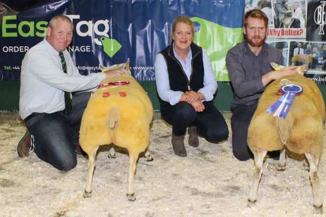 Eddie O'Neill, with the H. O'Neill Female Champion Shearling Ewe, Lagyveagh Abba and Patrick Brolly with Munreary Addictive, the Reserve Female Champion and judge, Alison Crabbe.