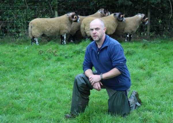 Maghera Blackface breeder Colin McEldowney, who has shearling rams entered for the Ulster Ram Breeders Association Scottish Blackface sale in Ballymena next Monday - 3rd October