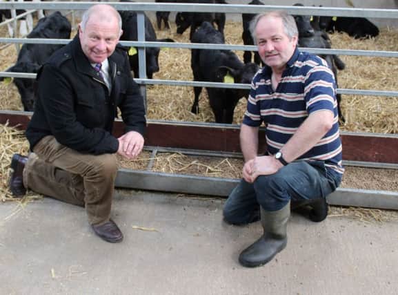Linden Foods' supply chain manager Frank Foster (left) and William Davidson in one of the two bespoke calf rearing units on the Davidson's Magheralin farm