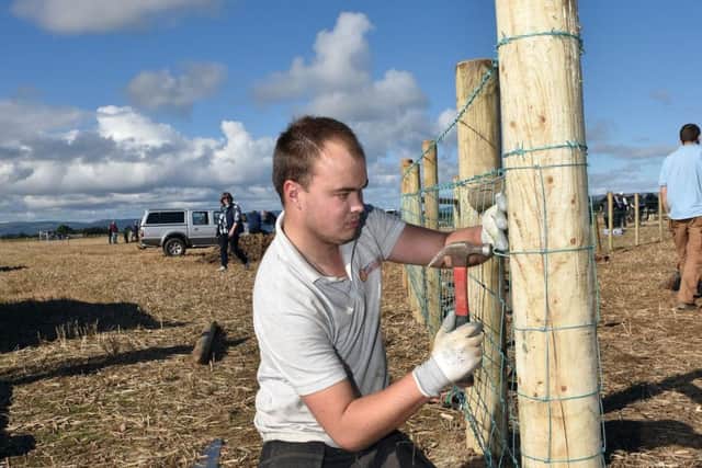 A YFCU member working hard during the Fencing Competition that was held last week at the NI Ploughing Championships