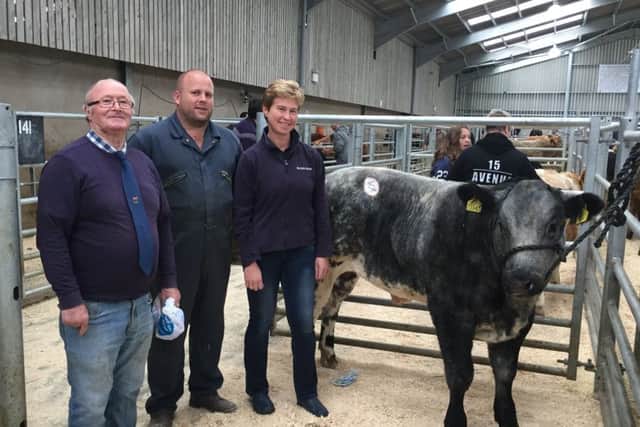 NI Limousin Cattle Club Executive Committee member Leslie Hood with Gareth Corrie and Reserve Champion bred by P J OKane