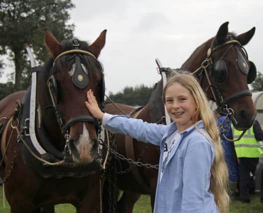 Sophia Erwin admires the horses at Killead Ploughing Society's 100th Anniversary match. Picture: Julie Hazelton