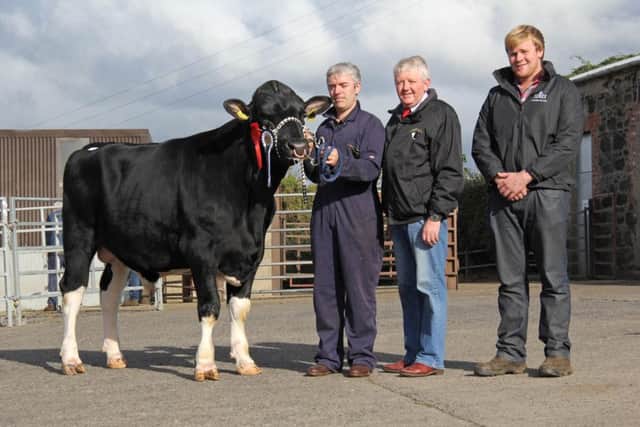 Stuart Smith, Londonderry, exhibited the reserve champion Prehen Freeboard sold for 1,750gns. Included are judge Ian Watson, Coleraine; and sponsor James Kelso, Semex.