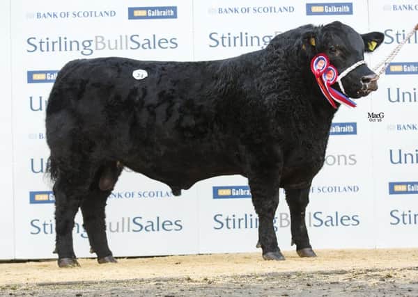Securing the overall Aberdeen-Angus Stirling Bull Sales championship and the top price of the day at 11,000gns was Drumhill Lord Hatfield R532 from Jonathan and Lisa Doyle, Cookstown, selling to Kevin Mcoscar.