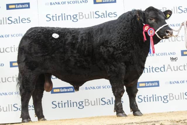 Breeders Jonathan and Lisa Doyle celebrated further success as they took the senior championship in the Aberdeen-Angus line up at the Stirling Bull Sales, before selling Dumhill Lord Hampton R414 for 5000gns to the Nightingale herd in Worcestershire, England, of Messrs Robertson.