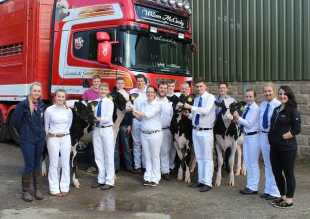 Members of the NI Holstein Young Breeders' Club who travelled to Malvern in Worcestershire to compete at the All Breeds All Britain Calf Show.