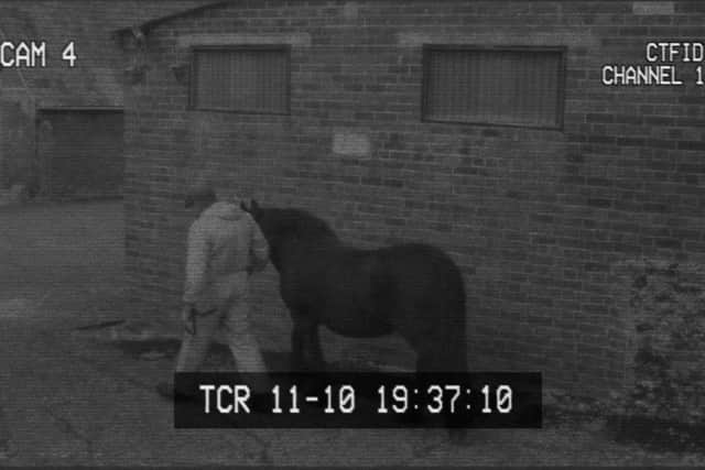 World Horse Welfare, has launched a campaign to make CCTV or other recording technology a legal requirement in all of the UKÂ’s equine slaughterhouses