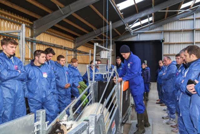 CAFRE Sheep Technologist Dr Eileen McCloskey and CAFRE student James Rice demonstrate the sheep handling facilities of the colleges new sheep educational facility.
