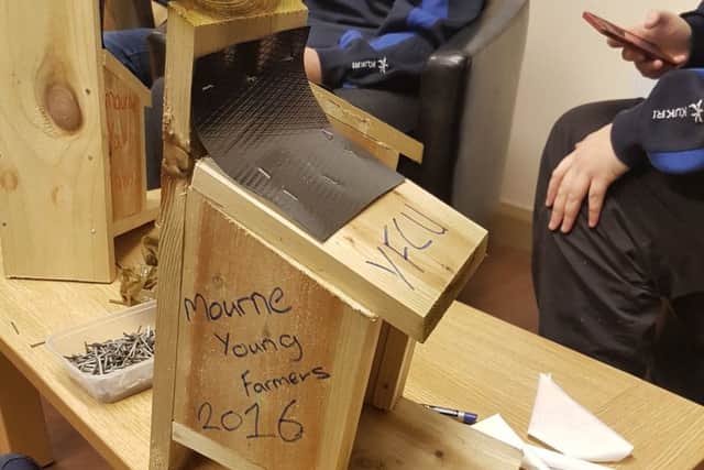 One of the squirrel boxes which was made by Mourne Young Farmers Club who took part in their second Grassroots Challenge
