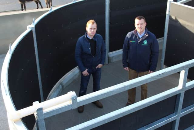 Jonathan Price (left) with Teemore Engineering's Adrian Bates in the circular collection pen, which is included in the new handling facility on the farm