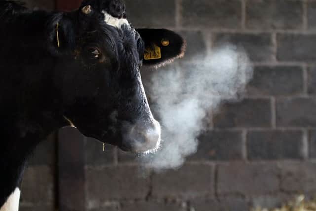Managing the dry period