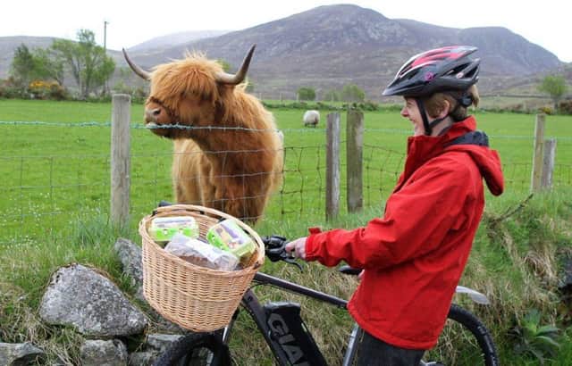 Mourne Foods & Films Cycle Tour