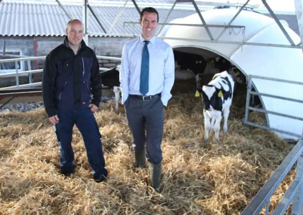 David Laidlaw, RUAS Trade Stand Executive, and Barry OLoughlin, Gorteade Cow Care are pictured with a calf igloo and veranda which will be on display at the Winter Fair.