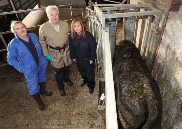 Farming Minister Michelle McIlveen reiterates her commitment to eradicating TB during a farm visit where she observed cattle being tested. (left to right) Farmer Barry Stephens joins DAERA vet John Kennedy and Miss McIlveen.