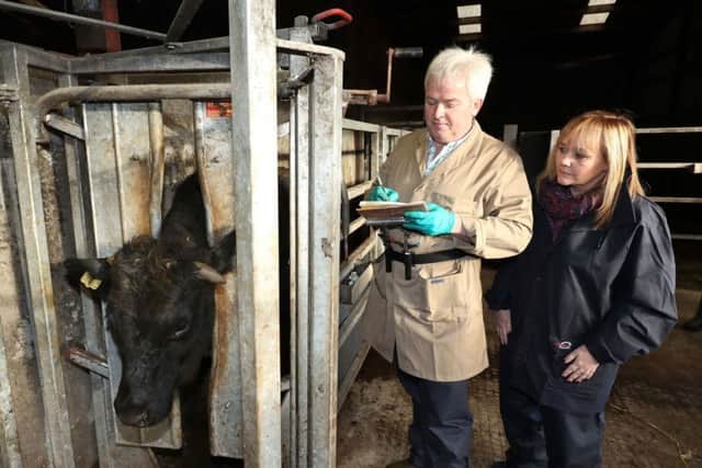 During a visit to a Co Down dairy farm to observe TB testing, Agriculture Minister Michelle McIlveen watched as DAERA vet John Kennedy recorded the animals that were tested.
