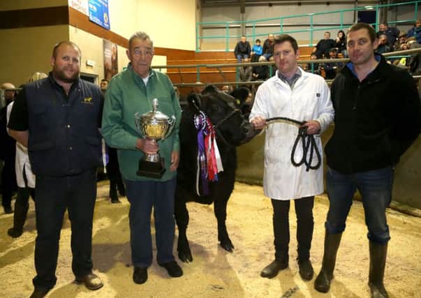 Gareth Corrie, Jonathan Neill and Charles Beverland from JCB Commercials with the supreme champion pictured with Sam McQuaid from Newport collections during the Gleno YFC fatstock show and sale held at Ballymena Market. Picture: Steven McAuley/McAuley Multimedia