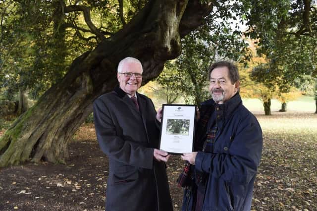 Patrick Cregg of the Woodland Trust (left) and Alistair Livingstone, Chairman of LIGHT 2000, who nominated the winning tree.