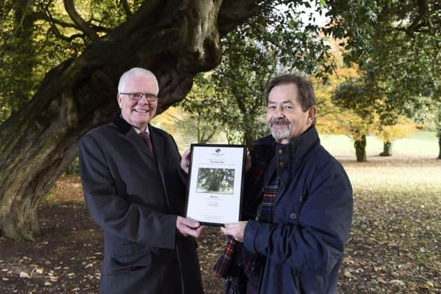 Pictured are Patrick Cregg of the Woodland Trust (left) and Alistair Livingstone, Chairman of LIGHT 2000, who nominated the winning tree