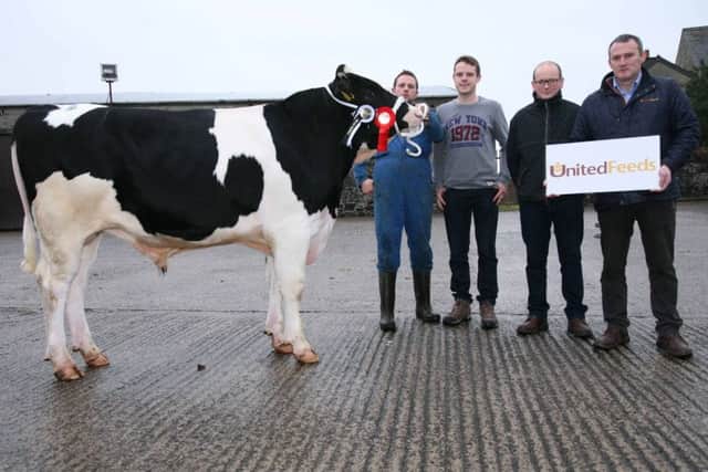 Reserve champion at Holstein NI's Kilrea bull sale was Relough Rasper shown by Christopher Eastwood and Andrew McLean. Included are judge Conor Casey, Cloughmills; and sponsor Martin Clarke, United Feeds. Picture: John McIlrath