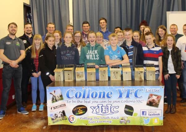 Collone YFC had their first Ulster Wildlife Grassroots Challenge night where they made bird boxes which was a huge success with the club