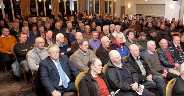 A section of the large crowd attending the Co Down President's Area Meeting at Ballynahinch. Picture: Cliff Donaldson