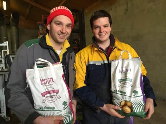 Scott Lilburn and his brothers are washing and packing potatoes, Craigavon