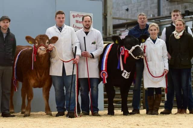 Event sponsors and judges Martin Conway and Magaret McQuiston congratulate Brian Hall with his overall pedigree Limousin champion, Ballyhone Missmoneypenny, and Keith William with his overall commercial Limousin champion, Valentine