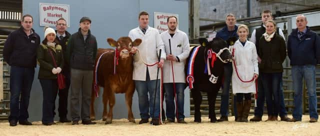 Event sponsors and judges Martin Conway and Magaret McQuiston congratulate Brian Hall with his overall pedigree Limousin champion, Ballyhone Missmoneypenny, and Keith William with his overall commercial Limousin champion, Valentine
