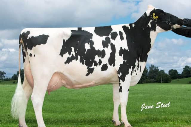 Relough Lexor Roxy VG88 (3yr) produced 12,148kgs at 5.07% BF and 3.31% P in her second lactation. Her Cogent Supershot son, Relough Wembley PLI Â£514 is catalogued for sale.