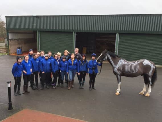 First year Level 3 Extended Diploma in Horse Management students with their painted horse showing what students have learnt during their Animal Biology class at the recent Family Morning at Enniskillen Campus.