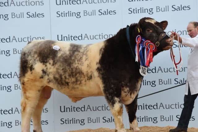 Uppermill Supreme, reserve male champion at 6,500gns