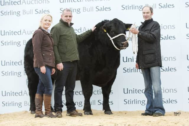 Cookstown-based Aberdeen-Angus Jonathan and Lisa Doyle are pictured with their 8500gns Drumhill Lord Harry R635, who sold to Pat and Finbar (pictured) Cahill for their Shankill herd, Co Cavan.